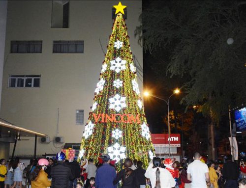 10 CONCEPT CHỤP ẢNH NOEL GIÁNG SINH ĐẸP NHẤT 2022